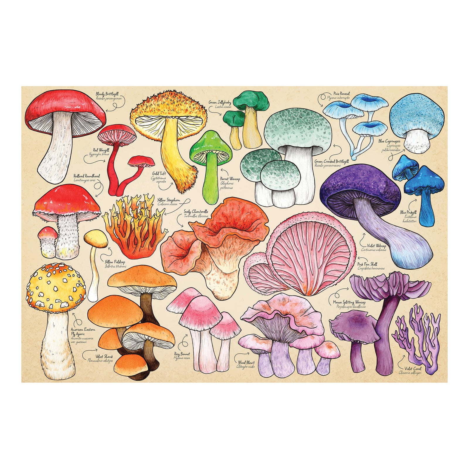 Mushroom Mania Jigsaw - 1000 Piece Jigsaw Puzzle For Adults