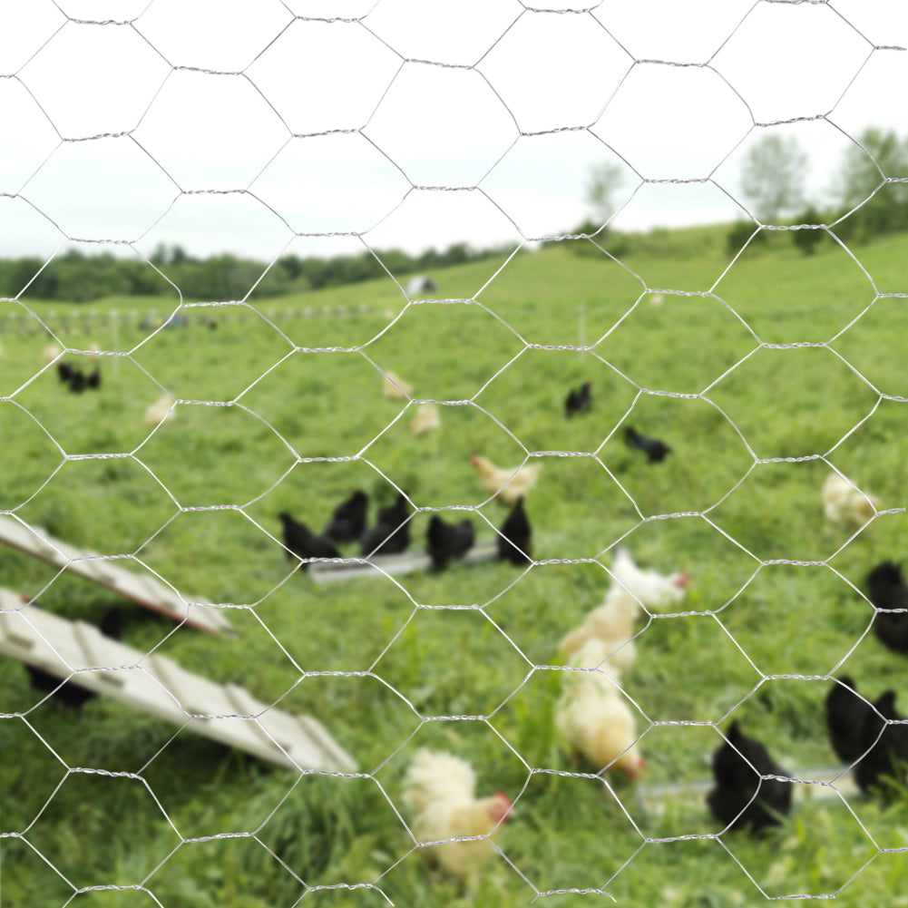 Galvanized Hexagonal Wire Mesh Fence Netting