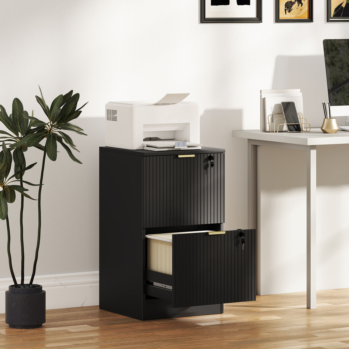 HOMCOM Filing Cabinet, File Cabinet With 2 Lockable Drawers And Hanging Rails