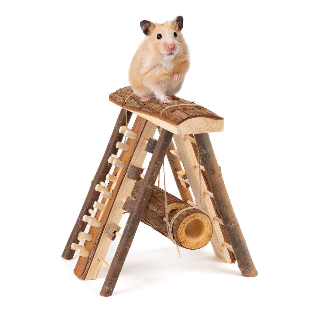 Hamster Wooden Climbing Wall