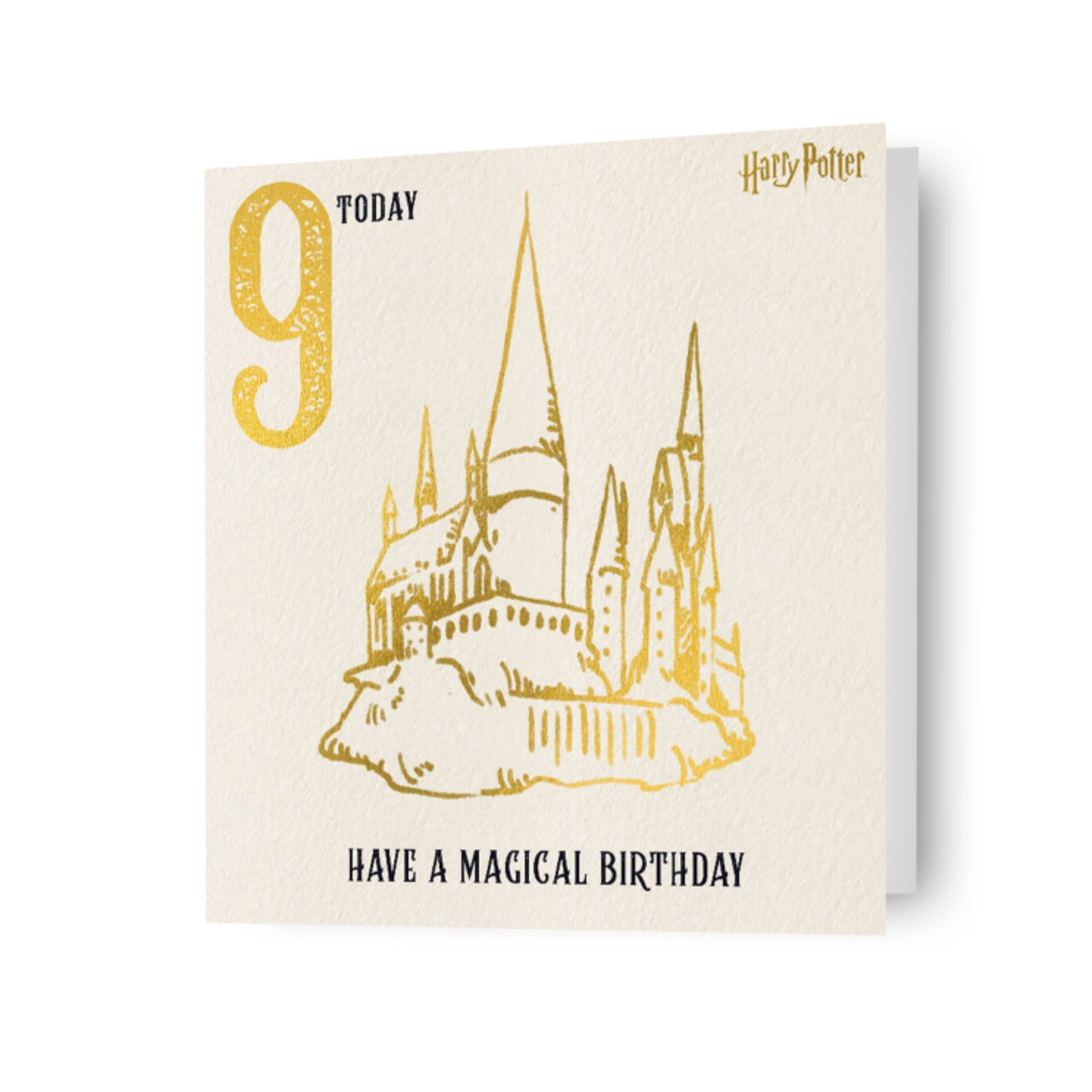 Age 9 Birthday Card Official Product