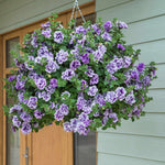 Petunia Tumbelina Collection, 6 Or 12 Plug Plants, Double-flowered Pink Plug Plants | 6 x Plug Plants | Pink