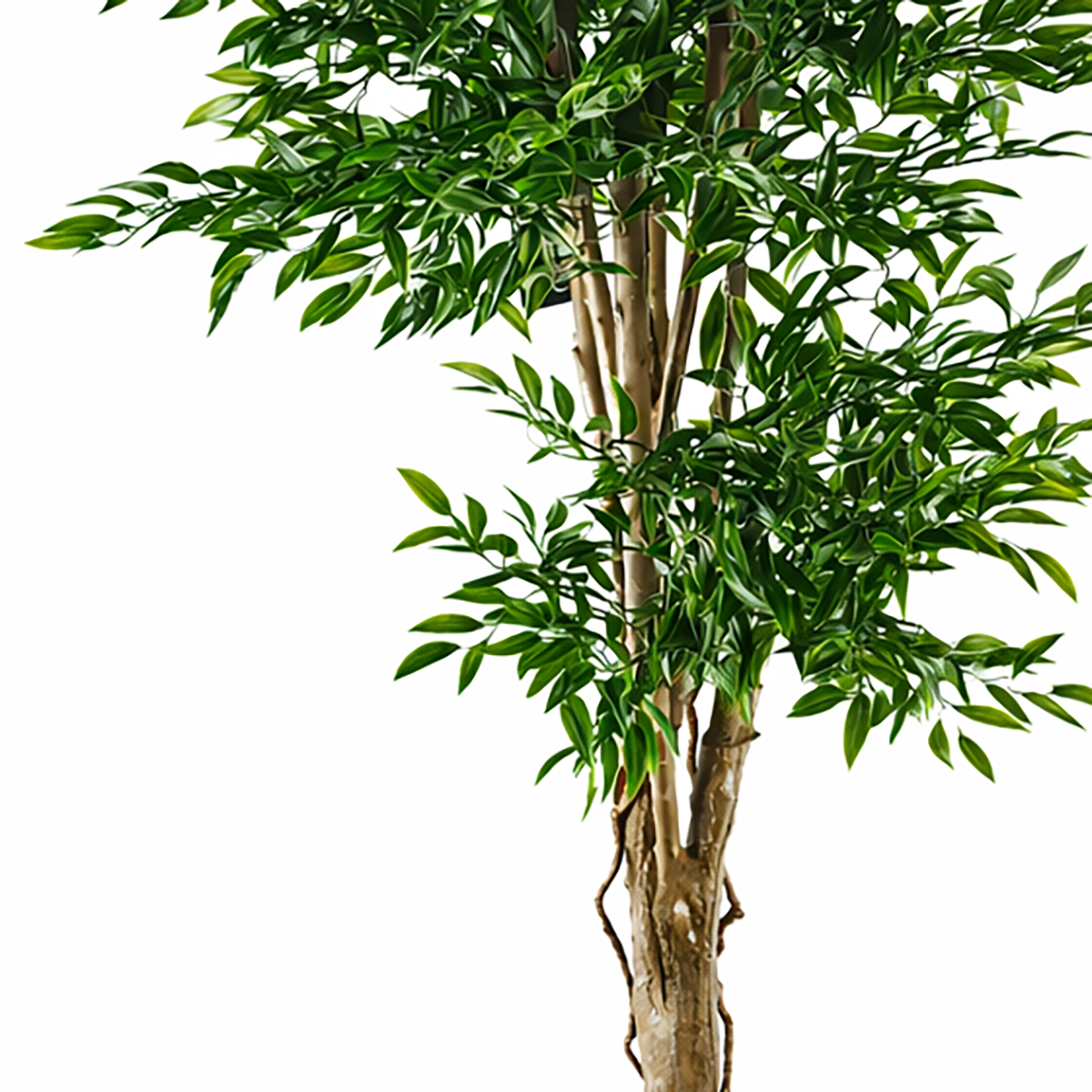 Artificial 140cm Uv Resistant Ruscus Tree