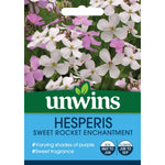 Sweet Rocket 'enchantment' (hesperis Matronalis) Seeds | 100 Seeds | Green