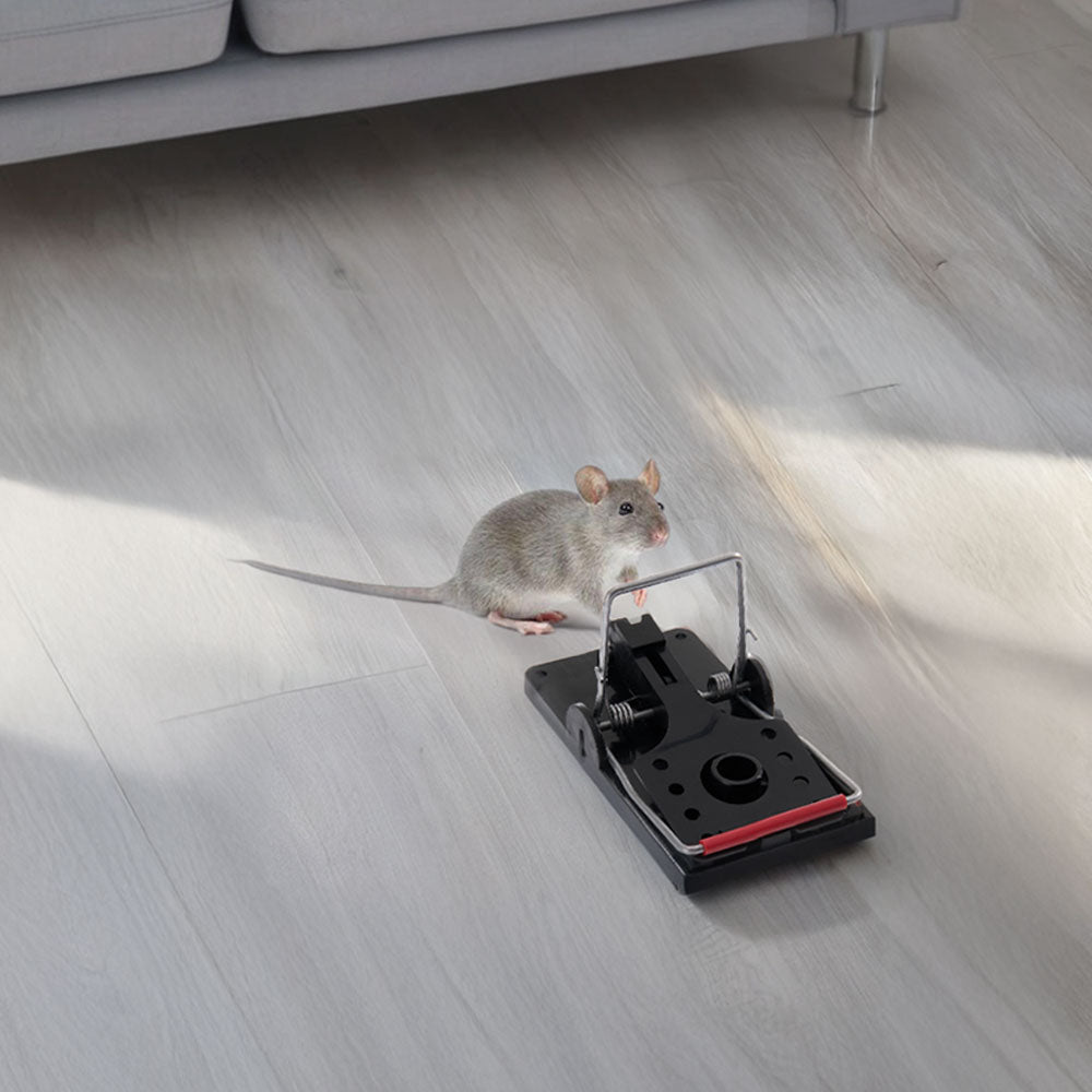 Set Of 4 Plastic Mouse Traps
