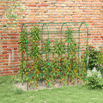 183cm Tall Garden Trellis For Outdoor Climbing Plants