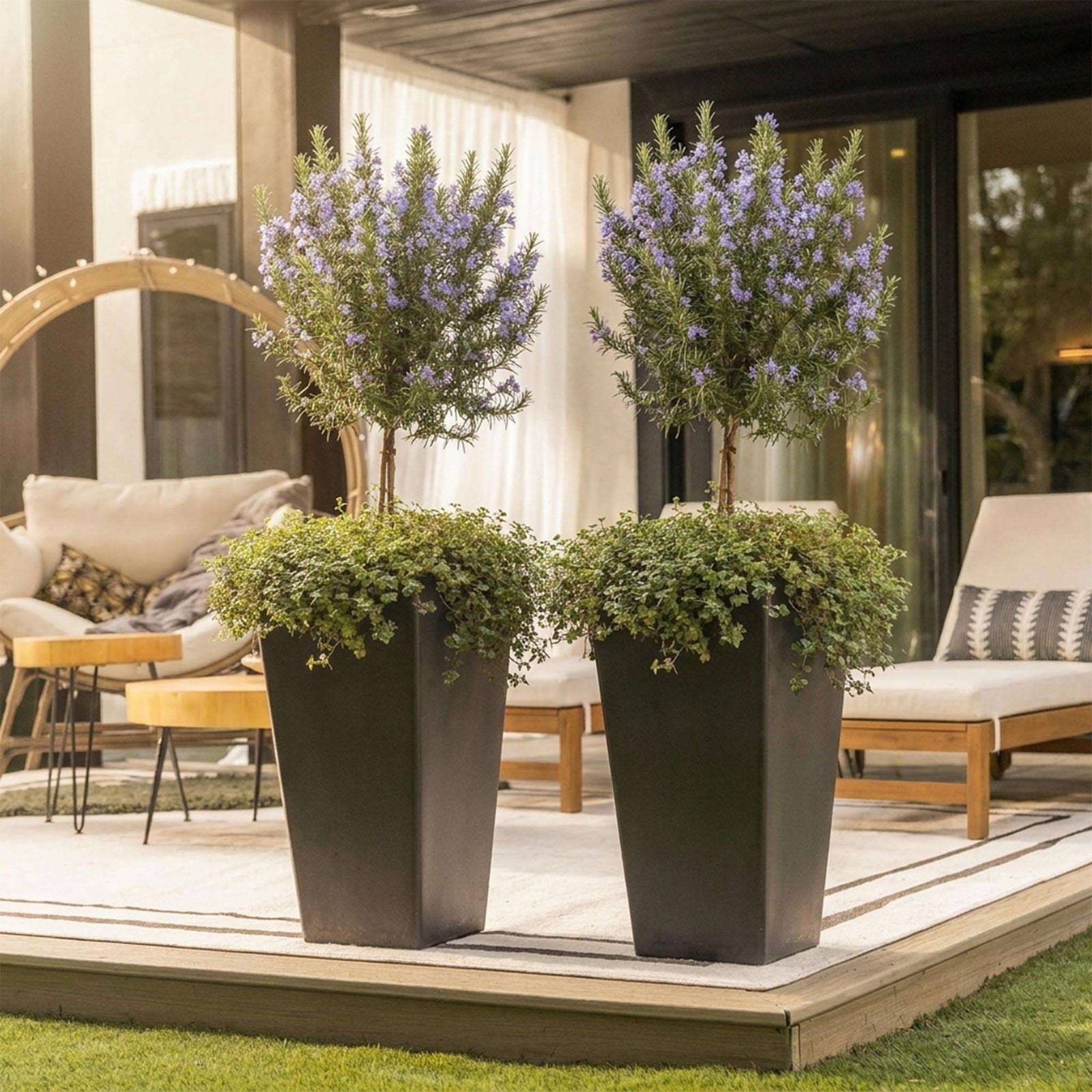 61cm Tall Black Rubber Planters - Indoor Outdoor Planter | Set-of-2