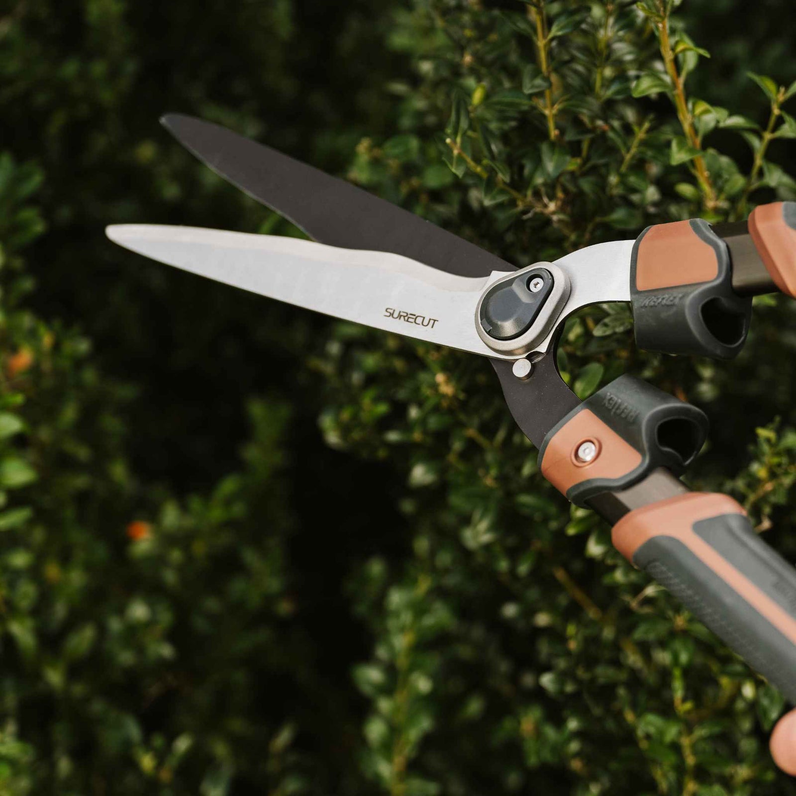 Garden Life Box Shears 10mm Chrome-coated Sk5 Blade
