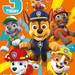 Age 3 Birthday Card Official Product