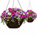 The Ready-to-Plant Summer Basket Kit - 2 baskets | Blue & Pink