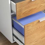 2 Drawer Filing Cabinet With Adjustable Hanging Bars