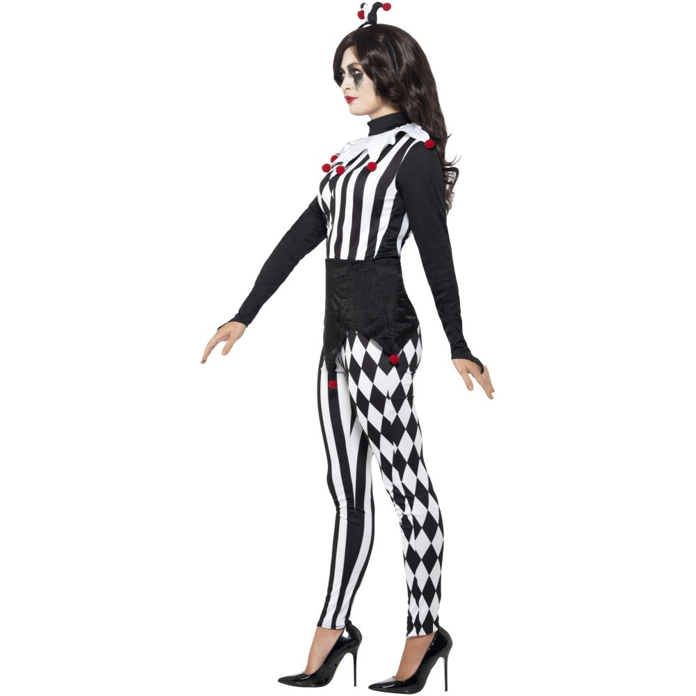 Female Jester Costume | Large