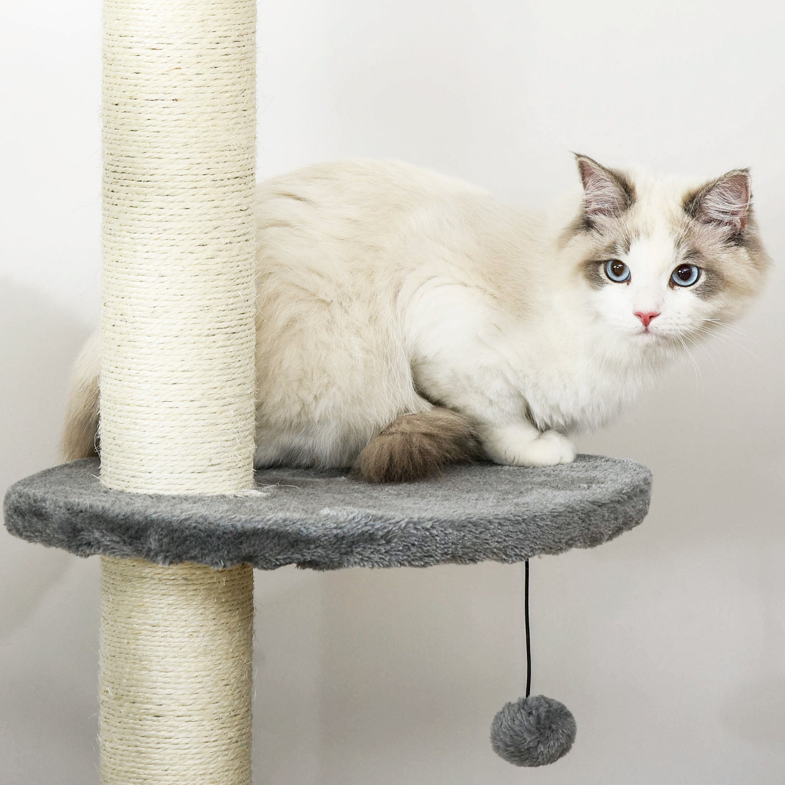 Cat Tree, Kitten Play Tower W/ Solid Scratching Post, Light Grey