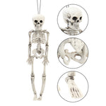 Realistic Posable Hanging Skeleton For Halloween