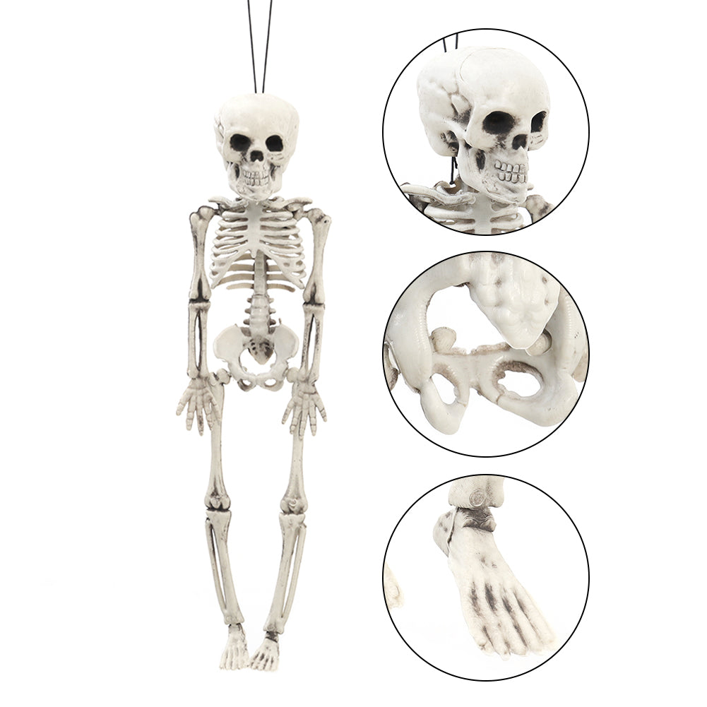 Realistic Posable Hanging Skeleton For Halloween