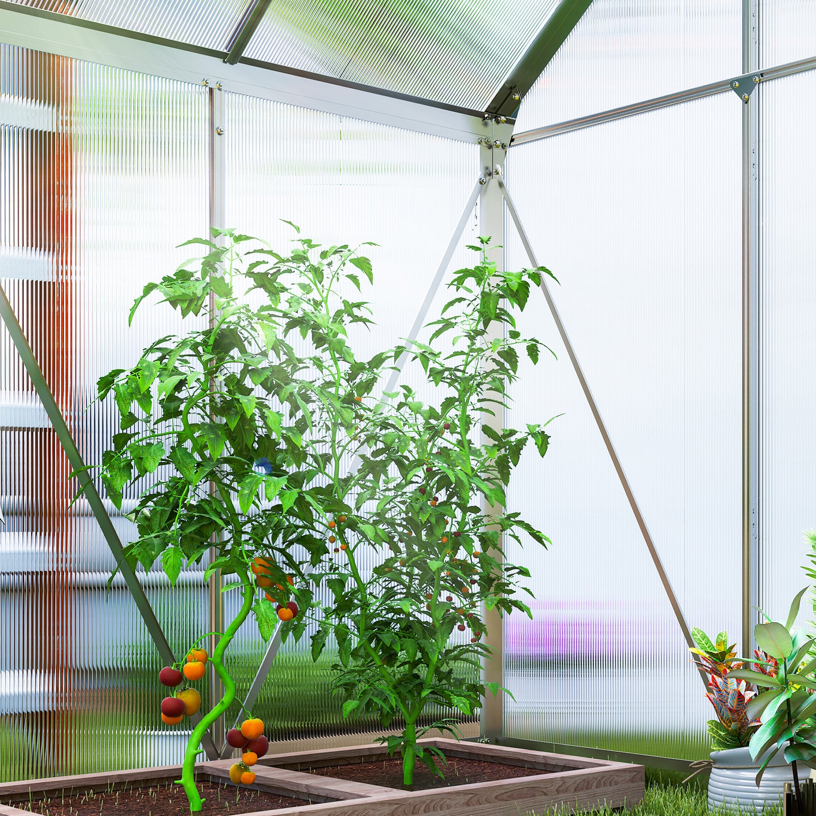 Polycarbonate Greenhouse, Small Greenhouse | Silver