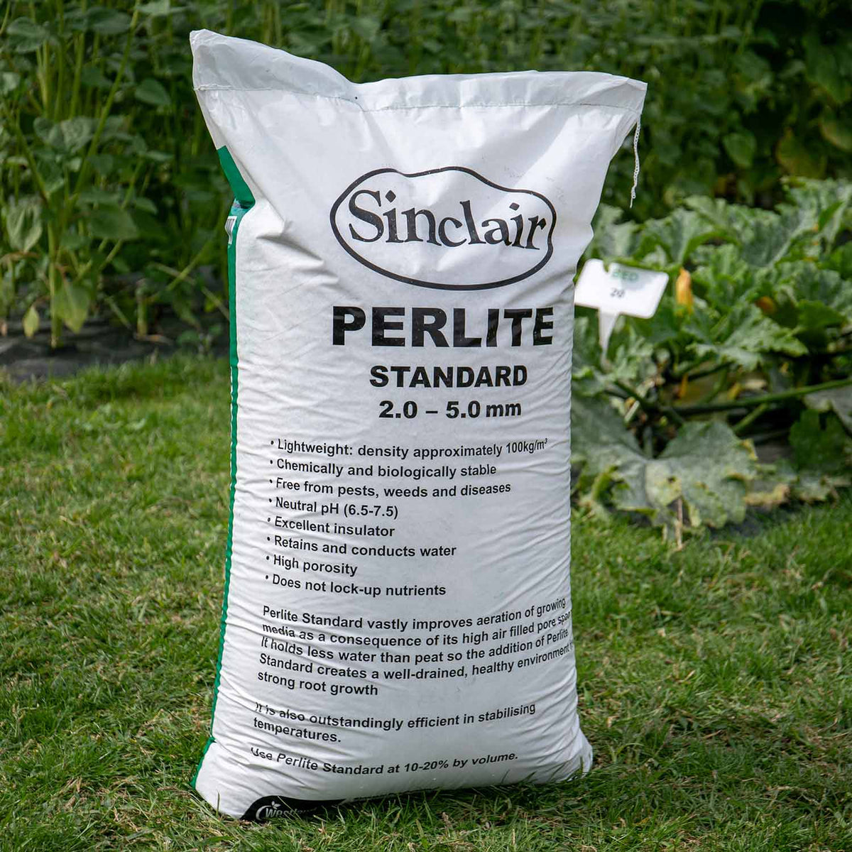 Perlite Horticultural Grade 100l Bag | Set of 1