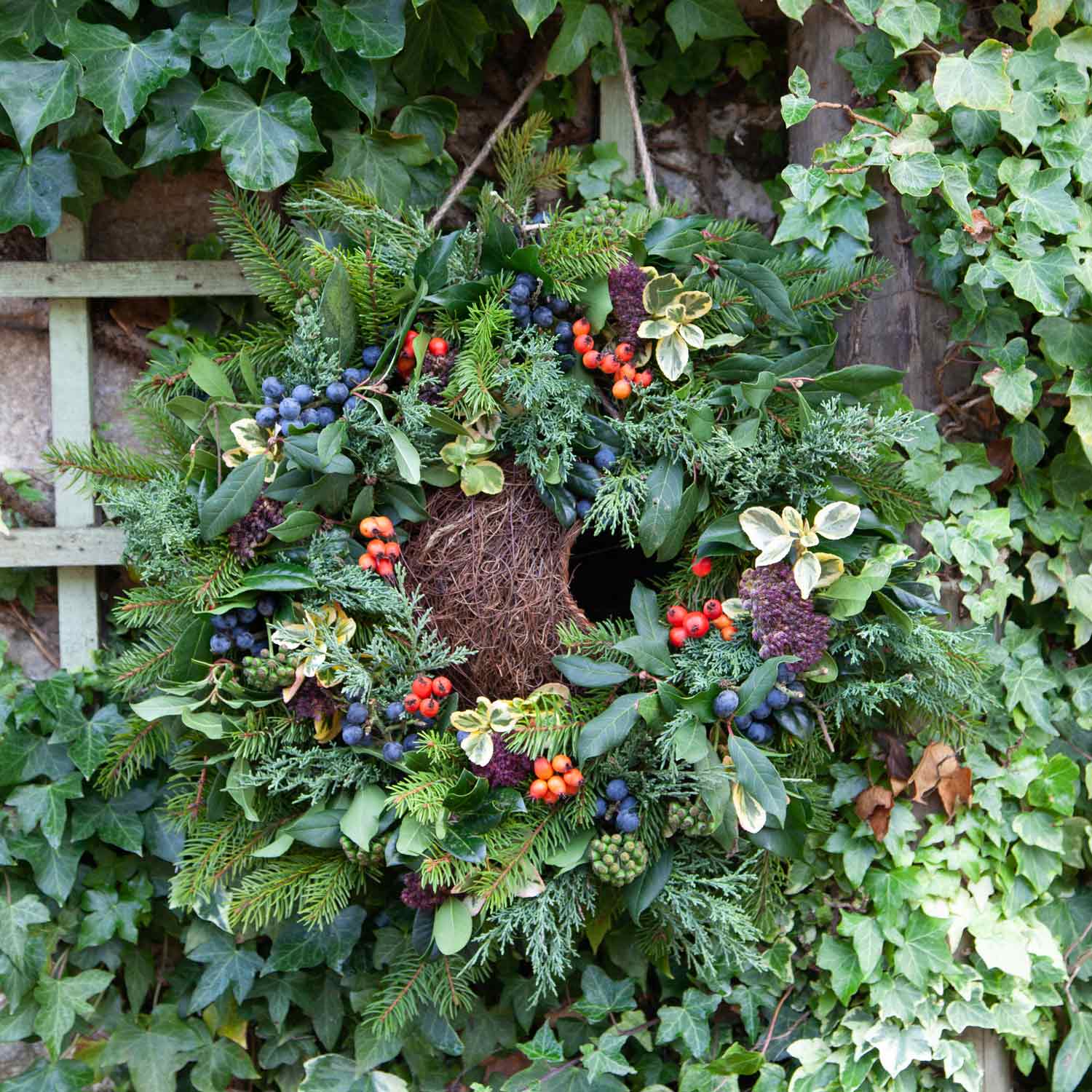 Simon King Wreath Nester For Small Birds 40cm | Brown