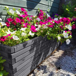 Pine Wooden Trough Planter With Feet | 200cm x 42cm x 38cm | Gray