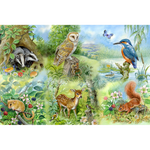 Nature Study - Big 250 Piece Jigsaw Puzzle For Adults & Kids, With Extra Large Pieces