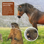CollectA Quokka With Joey