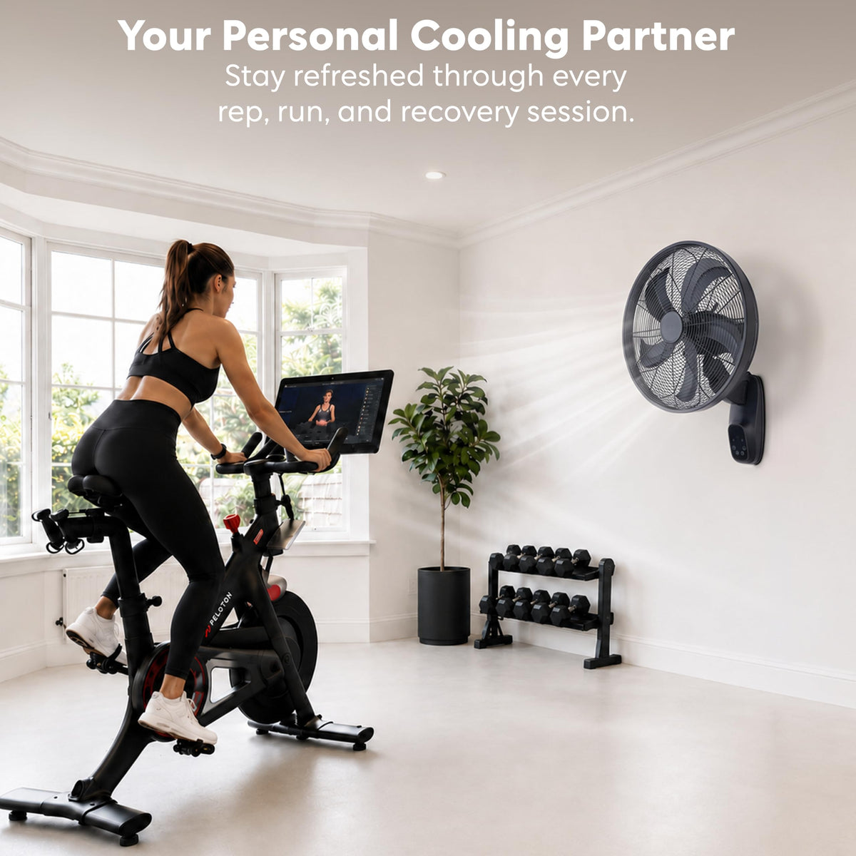 Air Pro Air Pro 16in Wall Fan With Adjustable Tilt And 3 Speeds - Black