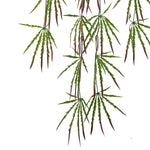 Pack Of 12 X 100cm Artificial Hanging Acer Spider Plant