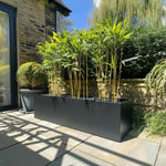 Zinc Galvanised Trough Planter | 120cm x 40cm x 40cm | Matte Black