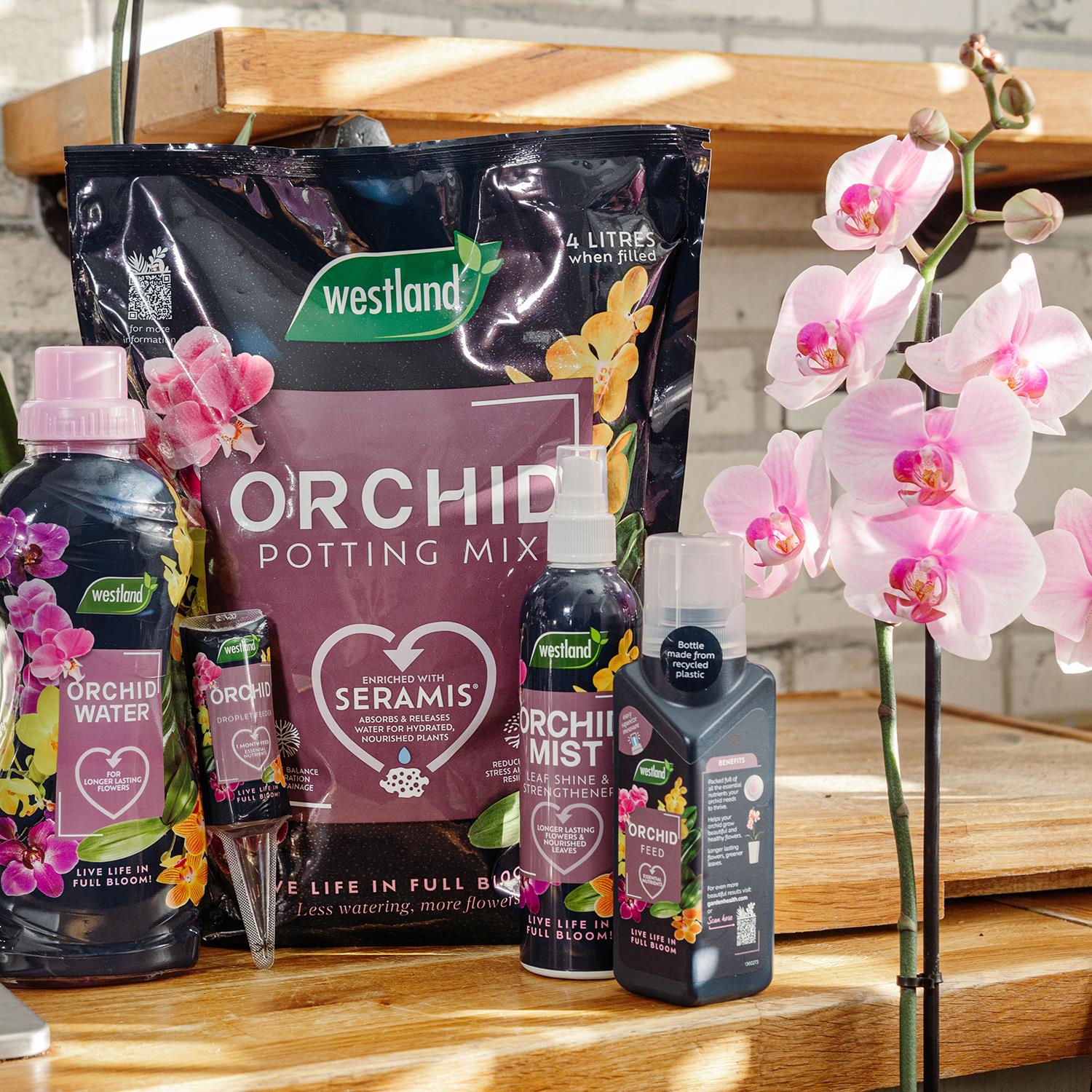 Orchid Potting Mix Peat Free Enriched With Seramis, 8 Litre