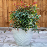 Bali 14in Planter Antique Beige 24l Plastic | Set of 1