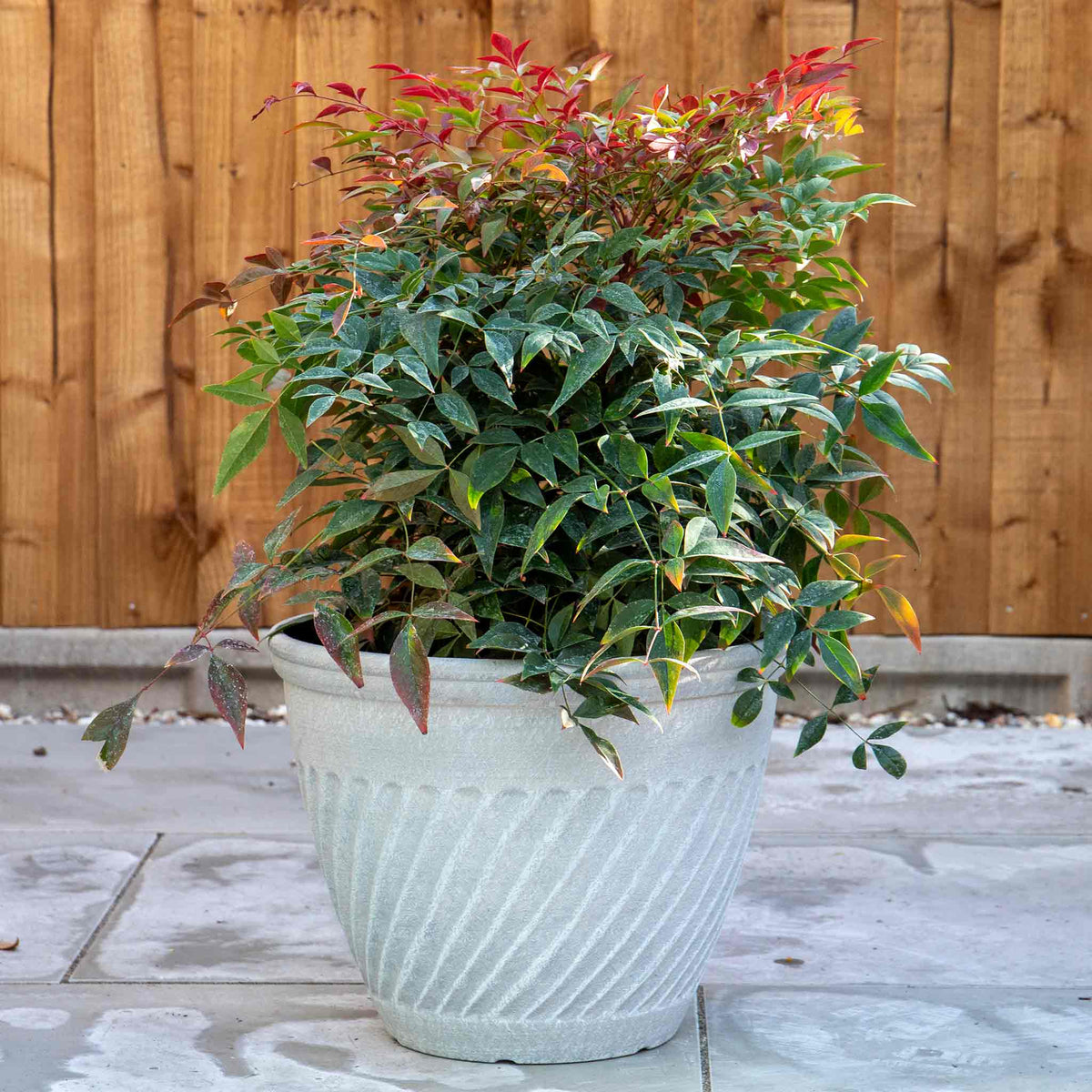 Bali 14in Planter Antique Beige 24l Plastic | Set of 1