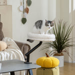 Cat Desk Bed, 360° Rotatable Adjustable Kitten Hammock | Cream