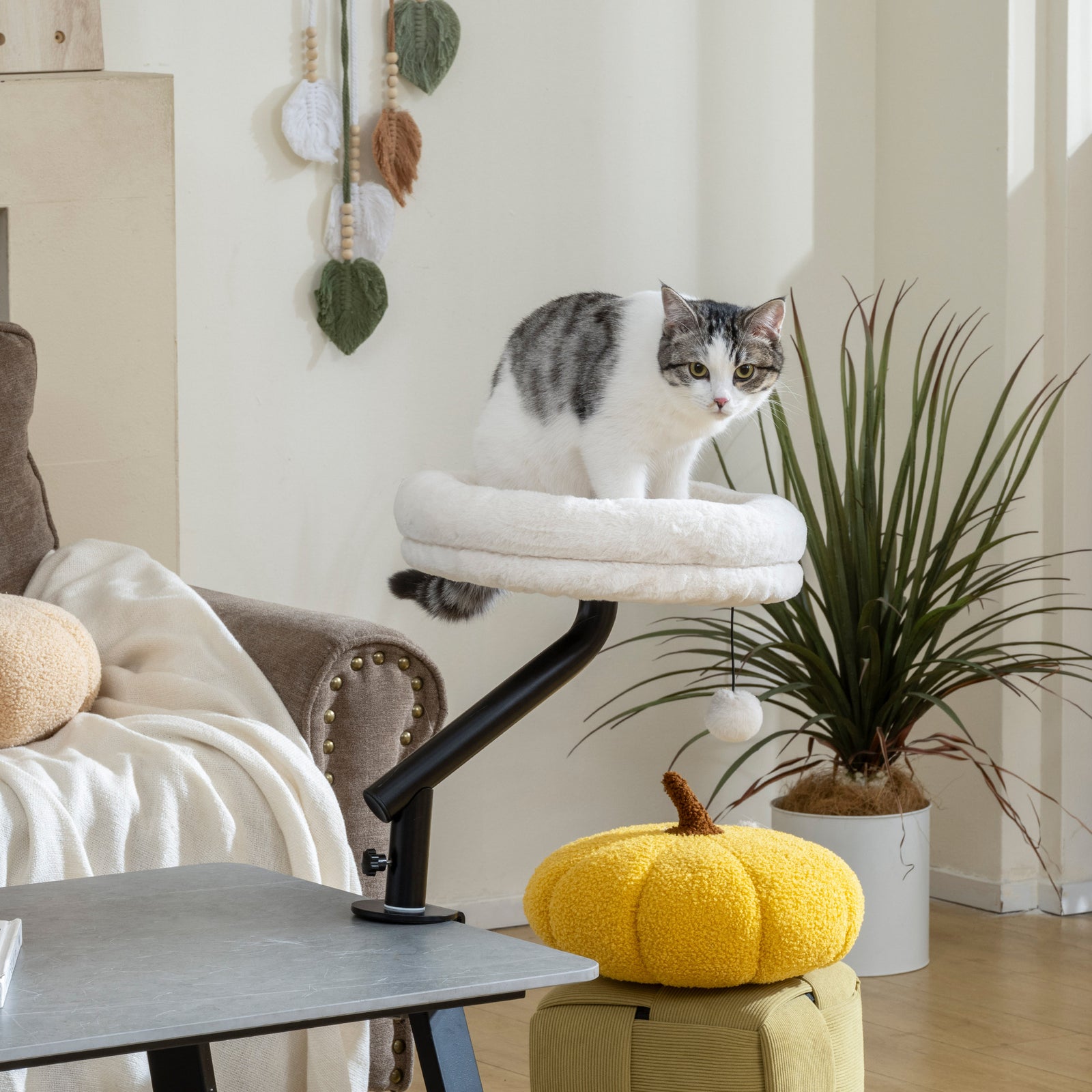 Cat Desk Bed, 360° Rotatable Adjustable Kitten Hammock | Cream