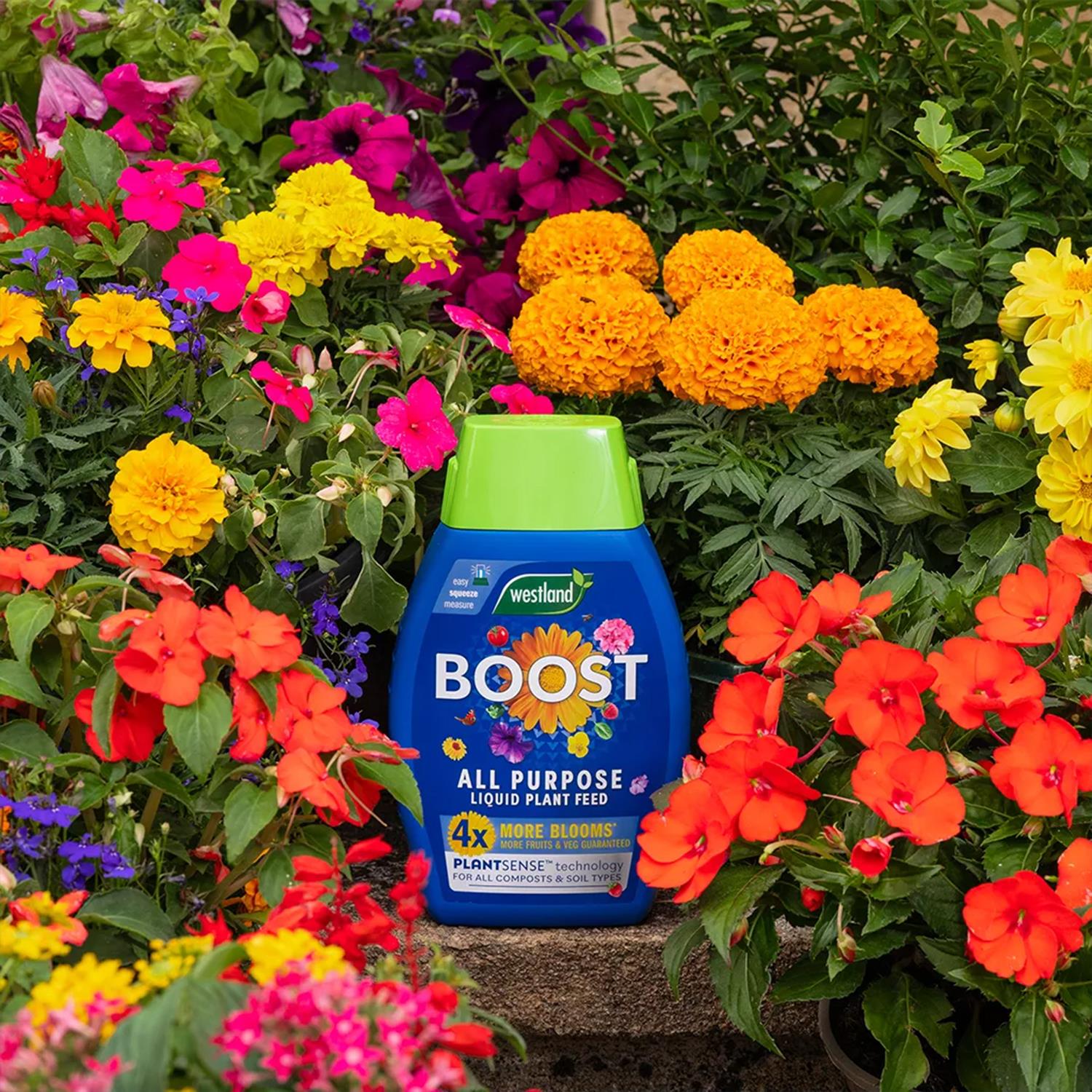 Boost All Purpose Liquid Plant Feed With Plantsense Technology, 1 Litre | 1L | Blue