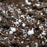 Perlite 10 Litre Lightweight Volcanic Soil Improver | Set of 2
