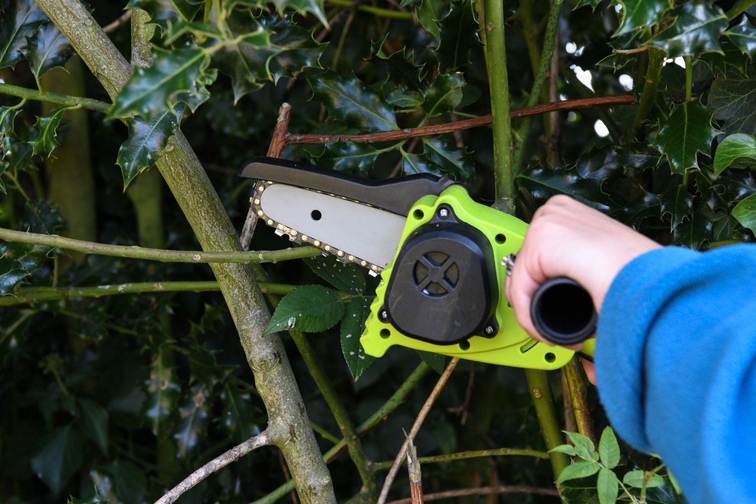 12v 2-in-1 Telescopic Chainsaw