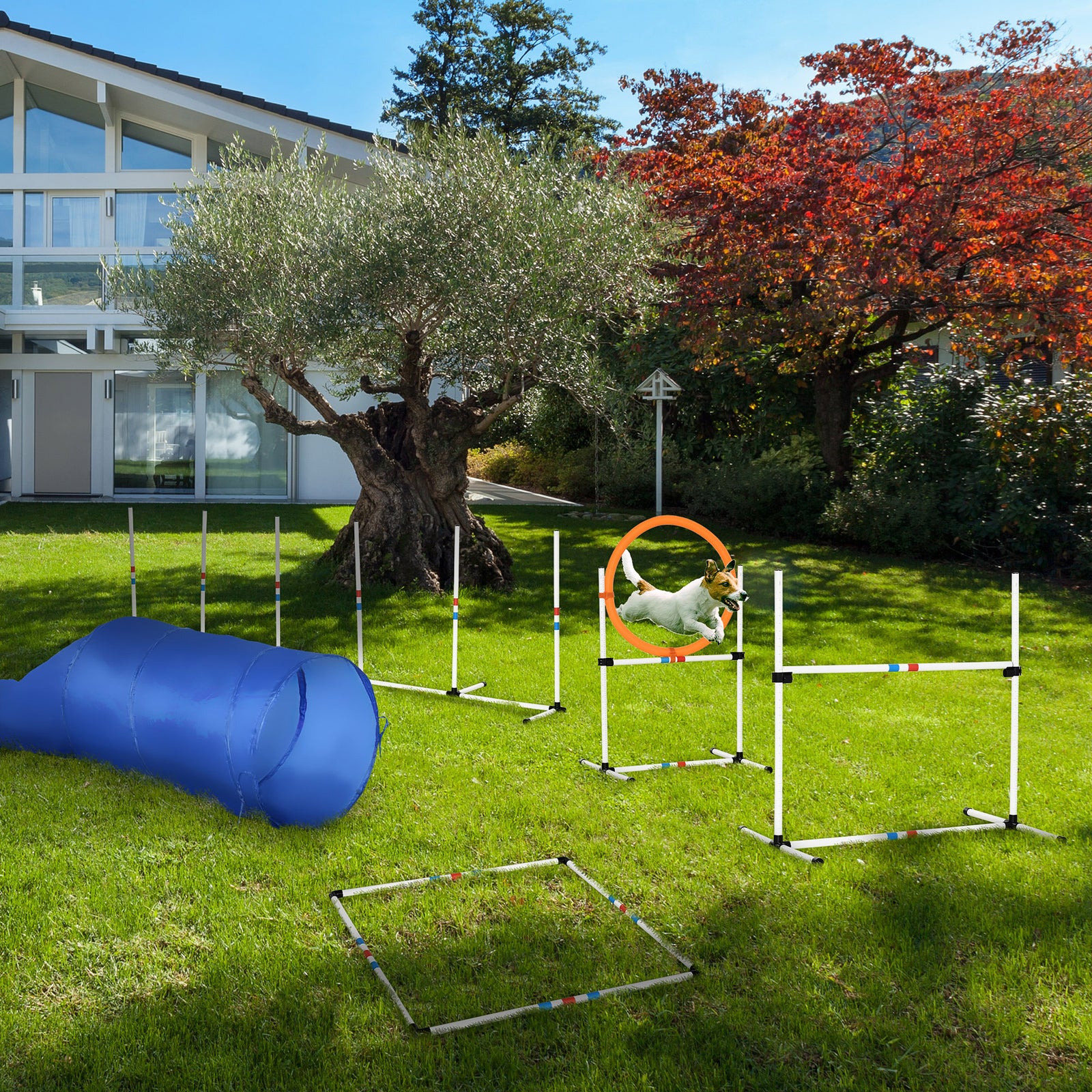 5-piece Suit Agility Set For Dog Training Exercise Obedience Rehabilitation