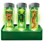 Kidzlabs - Creepy Crawly Digging Lab