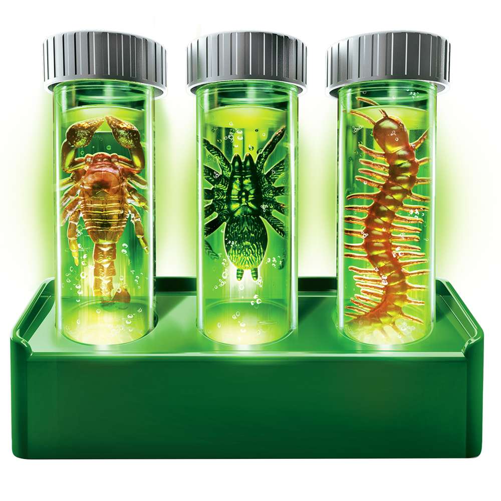 Kidzlabs - Creepy Crawly Digging Lab