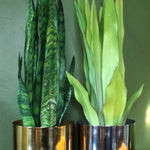 Metal Planter Plant Pot With Polished Silver Finish 20 X 18cm