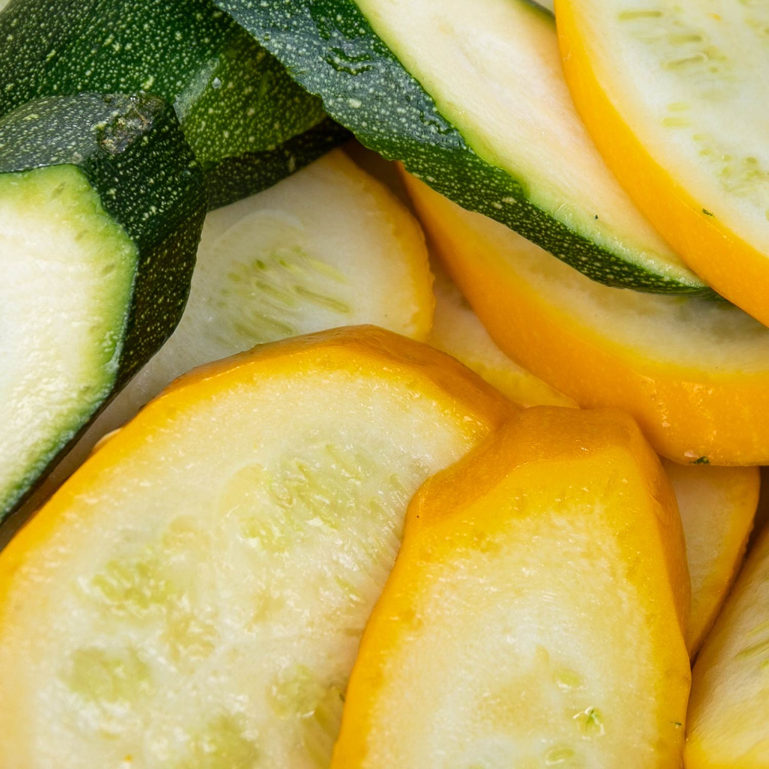 Courgette Mediterranean Duo - Lemona And Tuscany | 2 x Jumbo Plugs | Green