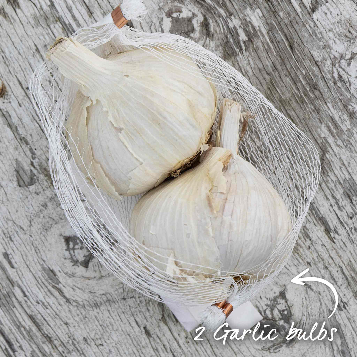 Garlic Cloves 'mersley Wight' Softneck Approx 20 Cloves | Set of 2 | Multi