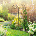 Set Of 2 Metal Climbing Plant Trellis 50 X 180cm