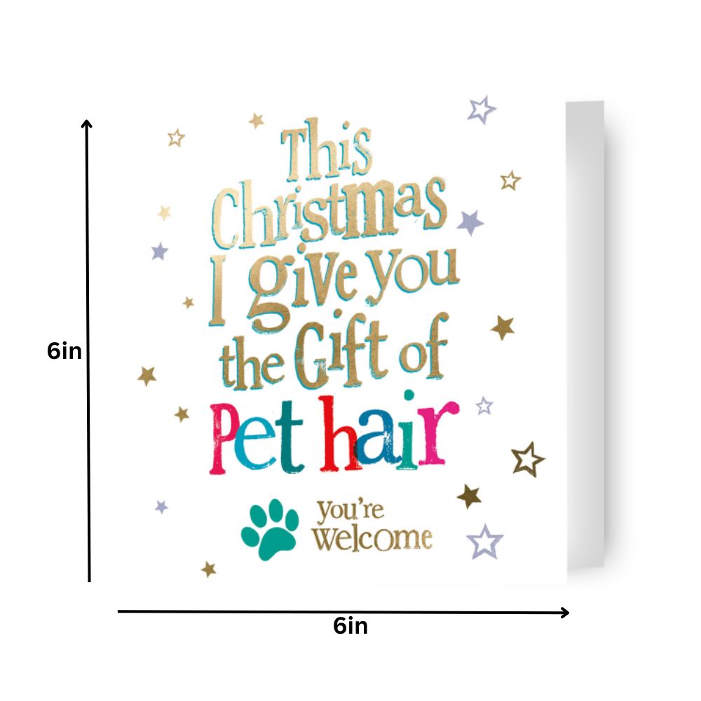 Brightside From The Pet' Christmas Card Official Product