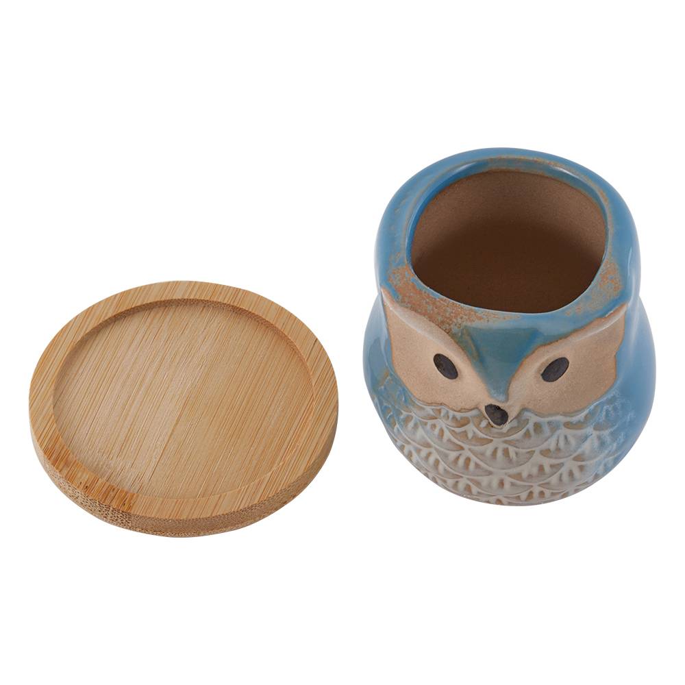 6pcs Mini Ceramic Owl Succulents Plant Pot With Plant Saucers