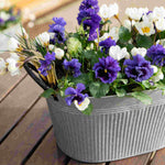 Oval Zinc Planter - Set Of 2