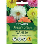 Dahlia Seeds Decorative Mixed | 50 Seeds | Multi