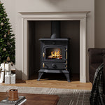 Freestanding Cast Iron Wood Burning Stove Fireplace