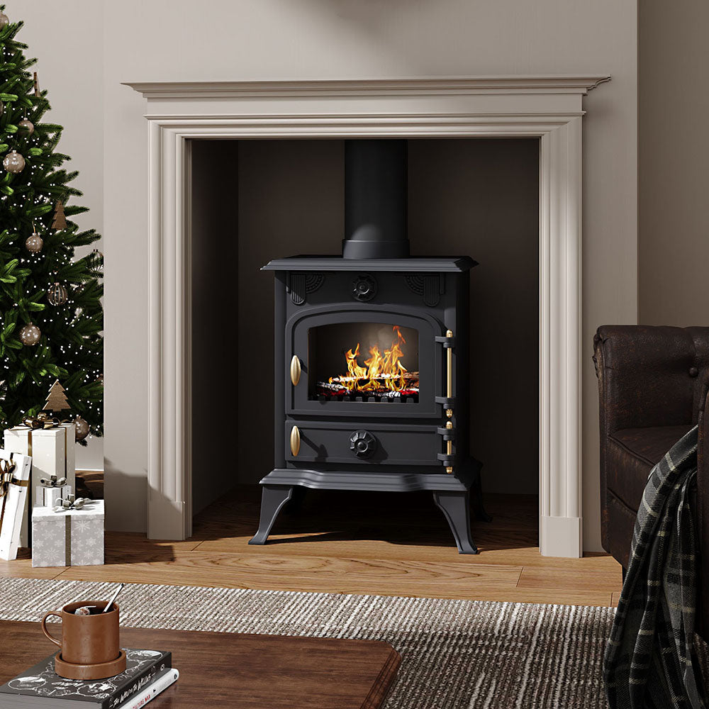 Freestanding Cast Iron Wood Burning Stove Fireplace