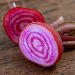 Chioggia Beetroot Seeds | 250 Seeds